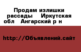 Продам излишки рассады  - Иркутская обл., Ангарский р-н  »    